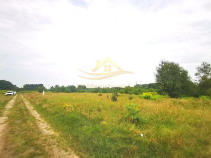 Działka siedliskowa Stare Budy gm. Jaktorów