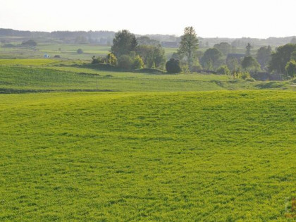 Działka budowlana Lidzbark Warmiński,  