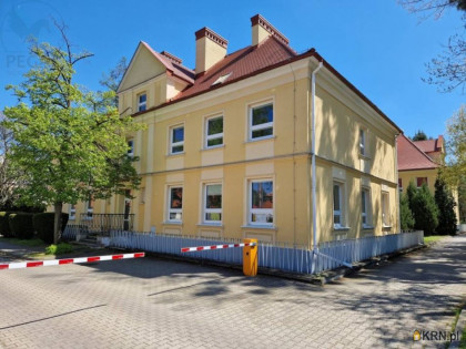 Biuro do wynajęcia (woj. wielkopolskie). Poznań, Grunwald, ul. Grunwaldzka, 20 052 PLN, 557,00 m2