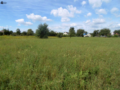 Działka Brzegi