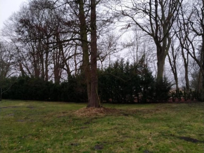 Rzędziny,2000m2,zabud. jednorodzinna,las-park.