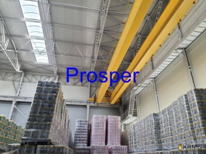 Magazyn na sprzedaż (woj. śląskie). Dąbrowa Górnicza, 9 000 000 PLN, 4 300,00 m2