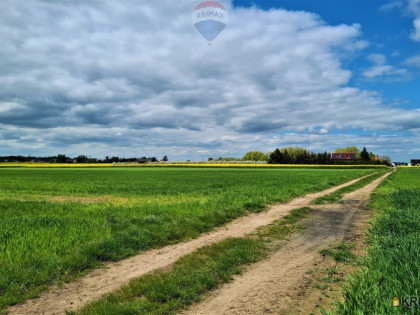 Działka, grunt na sprzedaż (woj. wielkopolskie). Rokietnica, 870 000 PLN