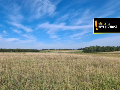 Działka Łopuszno ul. Urzędnicza