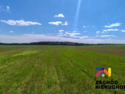 Działka, grunt na sprzedaż (woj. lubuskie). Zabór, 1 656 060 PLN