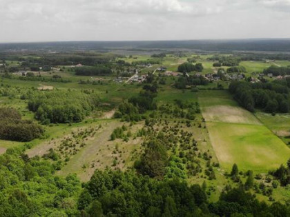 Działka rolna w Wasilkowie * 2,71 ha