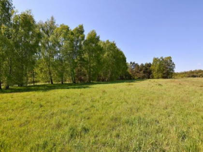 Działka rekreacyjna Huta Dłutowska gm. Dłutów,  