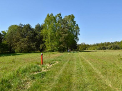 Działka rekreacyjna Huta Dłutowska gm. Dłutów,  
