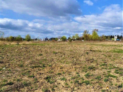 Działka, grunt na sprzedaż (woj. wielkopolskie). Tarnowo Podgórne, 2 700 000 PLN