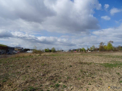 Działka, grunt na sprzedaż (woj. wielkopolskie). Tarnowo Podgórne, ul. Poznańska, 4 500 000 PLN