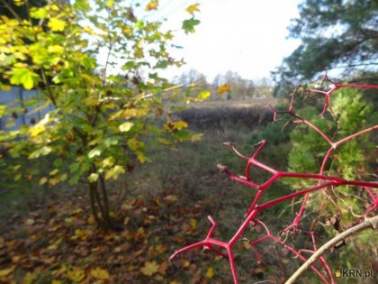 Działka, grunt na sprzedaż (woj. wielkopolskie). Kórnik, ul. Ładna, 577 000 PLN