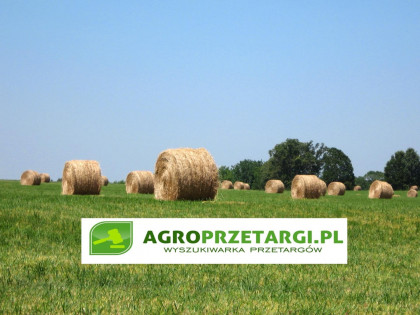 Dzierżawa gruntu rolnego / dopłaty unijne