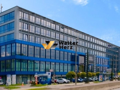 Lokal użytkowy na wynajem
