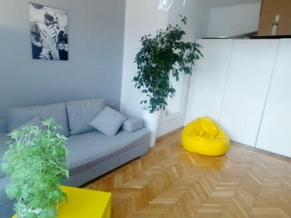 kawalerka bezpośrednio poznan centrum winogrady