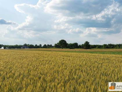 Działka rolna Lubojna gm. Mykanów