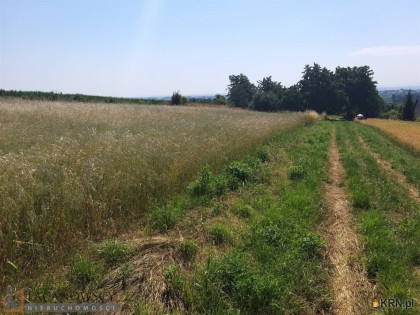 Działka, grunt na sprzedaż (woj. małopolskie). Kocmyrzów, 228 000 PLN