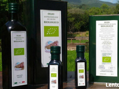 Agrocompleks turystyczny z marką bio oliwy z oliwek