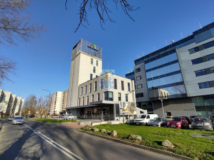 Lokal użytkowy na wynajem