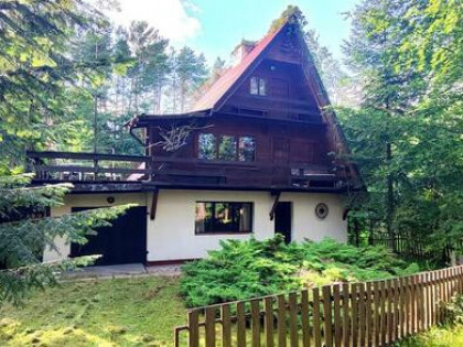 Dom na Kaszubach przy lesie - 50metrów od jeziora - Żuromino