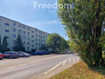 Mieszkanie do remontu z widokiem