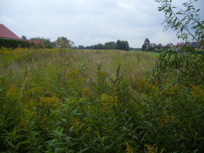 Działka Radzymin