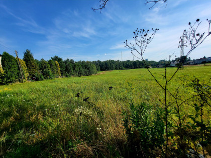 Działka Jankowice