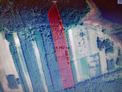 Dwie działki leśne 4,93 ha w gm. Pierzchnica.