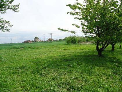 Pawlin gmina Konopnica około 12km od Lublina