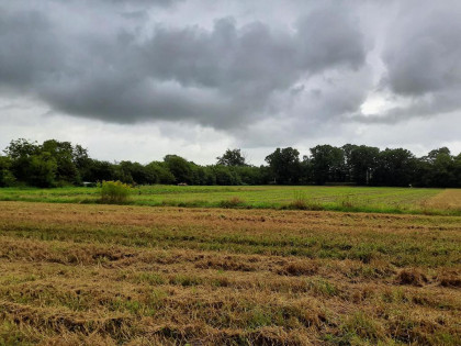 Działka budow.-rolna + łąka. Media 100 % w działce