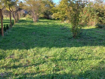 Działka ROD, cicha i spokojna, Gdańsk Olszynka