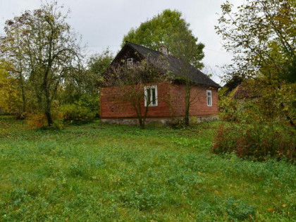 Siedlisko usytuowane we wsi Koszewo – gm. Brańsk.