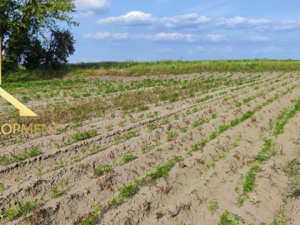 Działka Podolszyn ul.  