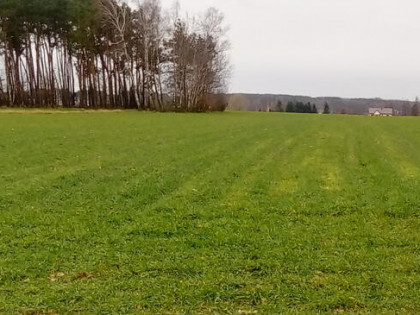 Działka rolno/budowl ok.4 ha Proboszczewice, S7.45minWAWA