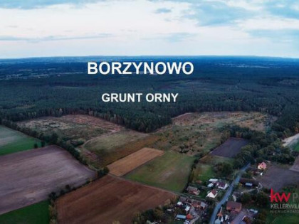 Działka rolna Borzynowo gm. Milicz