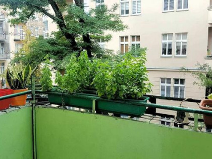 2 pokojowe z balkonem, | Park Wilsona| Grunwald - Łazarz