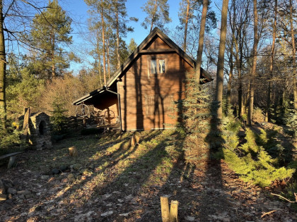Nietuzinkowy dom z drewna w Ciepielowie.