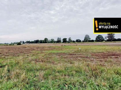 Działka Zielony Grąd ul.  