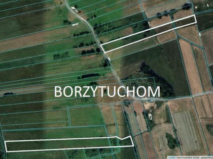 Sprzedam łąki w Borzytuchomiu 2,35 ha cena 100,000 zł do neg