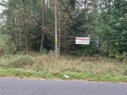 Działka leśna na rekreację w Grabinie w gminie Zadzim