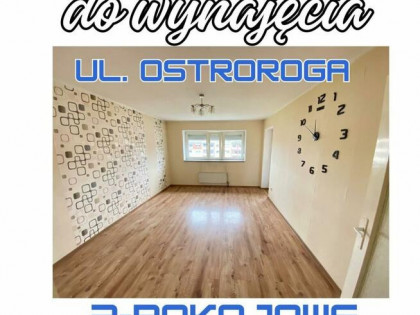DO WYNAJĘCIA - 57m2, 3-pokojowe, Ostroroga
