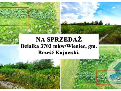 Działka 3703 mkw/Wieniec, gm. Brześć Kujawski.