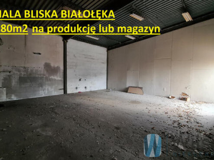 Lokal użytkowy Warszawa gm. Białołęka Białołęka, Elektronowa