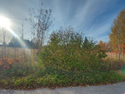 Działka Wysoka ul. WSTRZYMANA