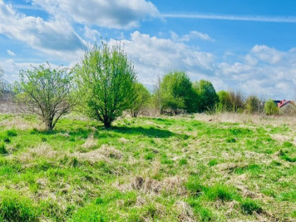 Działka Warszawa Wawer, Borków ul.  