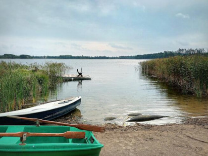 Działki - usługi turystyczne nad Jeziorem Dybowskim. Rożyńsk