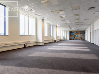 Lokal Warszawa Ochota ul.  