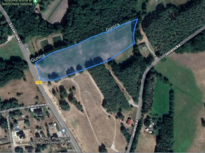 Działka,Tanowo,gm.Police,3166m2,plan-usługi.