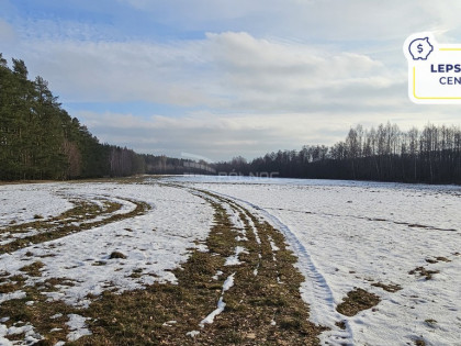 Działka w otulinie lasu niedaleko jeziora Makosiej