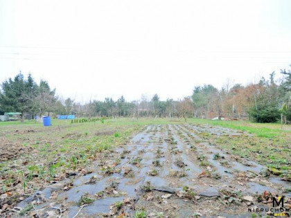 Działka budowlana Ząbrowo gm. Gościno, Polna