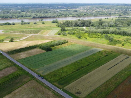 Działka rolno budowlana Sandomierz ul Zarzekowice 39 ar